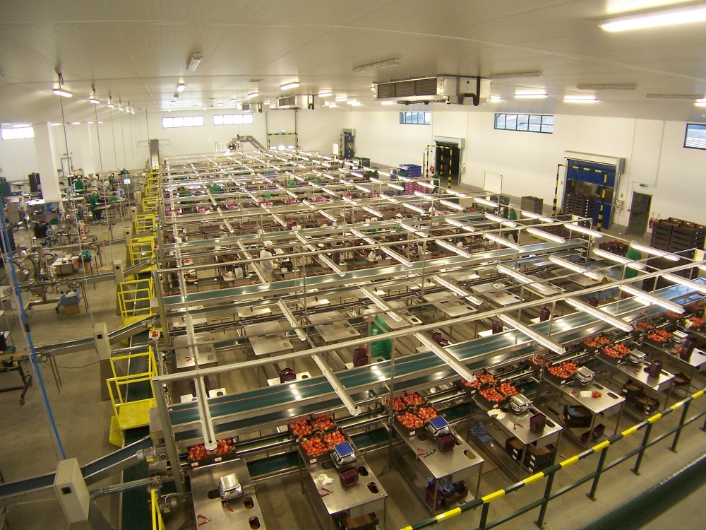 Conveyor production line | Industrial Fit-outs